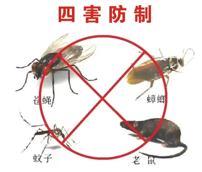 床墊易滋生吸血臭蟲，怎樣預防呢？